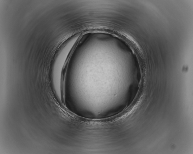 X0000095130777200712301823