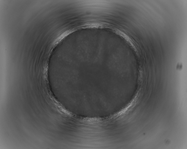 X0000095130778200712301823