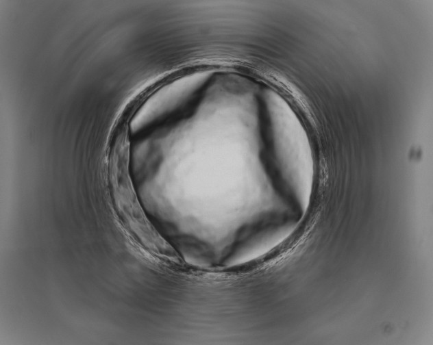 X0000095130779200712301823