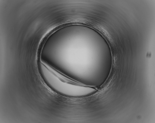 X0000095130780200712301823