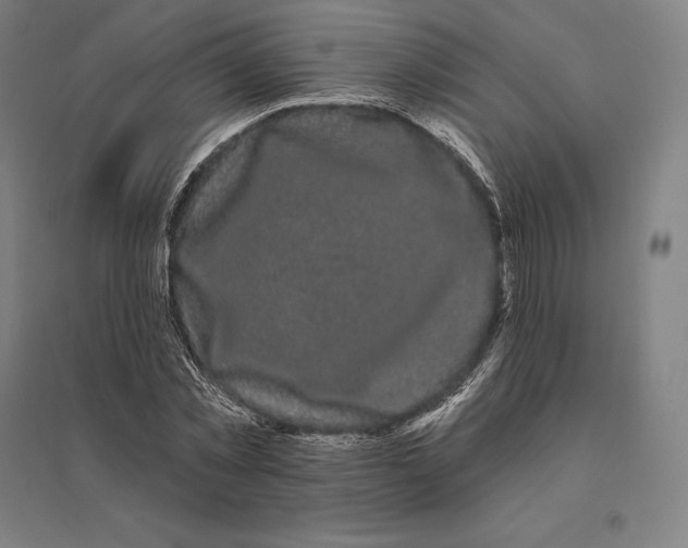 X0000095130781200712301823