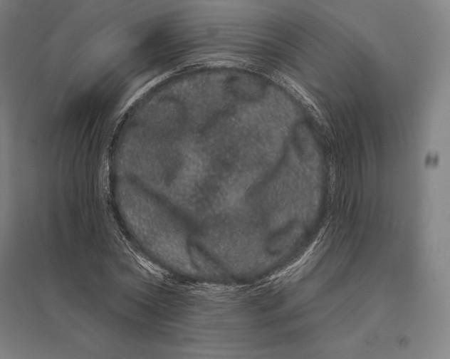 X0000095130782200712301823