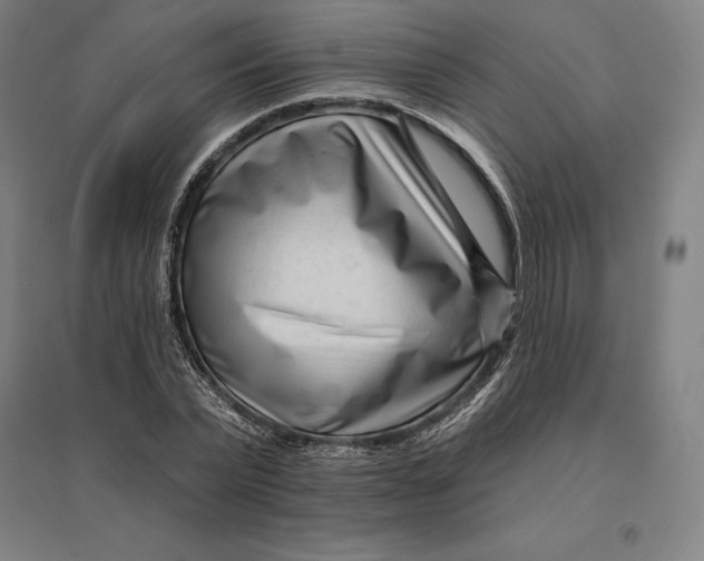 X0000095130783200712301823