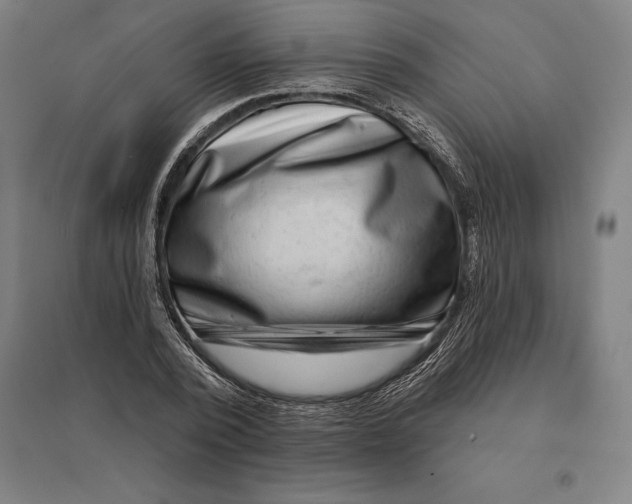 X0000095130784200712301823