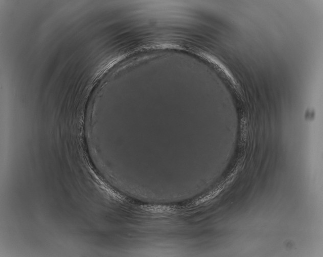 X0000095130785200712301823