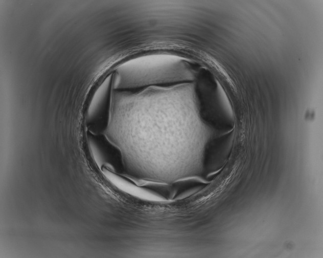 X0000095130786200712301823