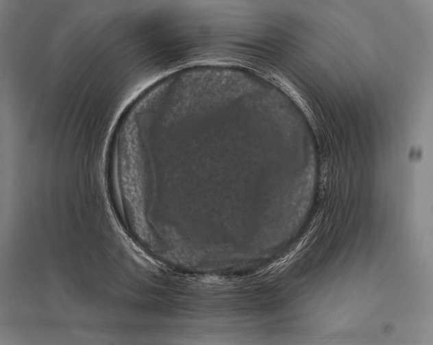 X0000095130787200712301823