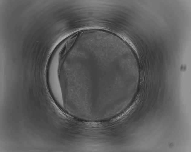 X0000095130789200712301823