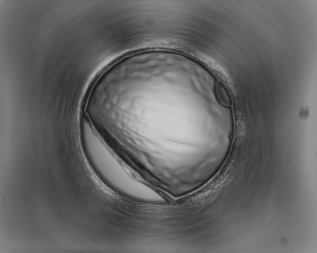 X0000095130792200712301823