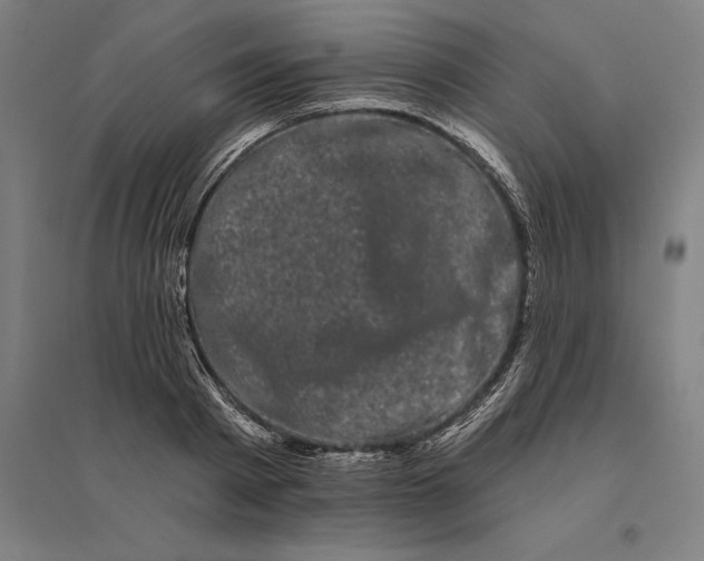 X0000095130793200712301823