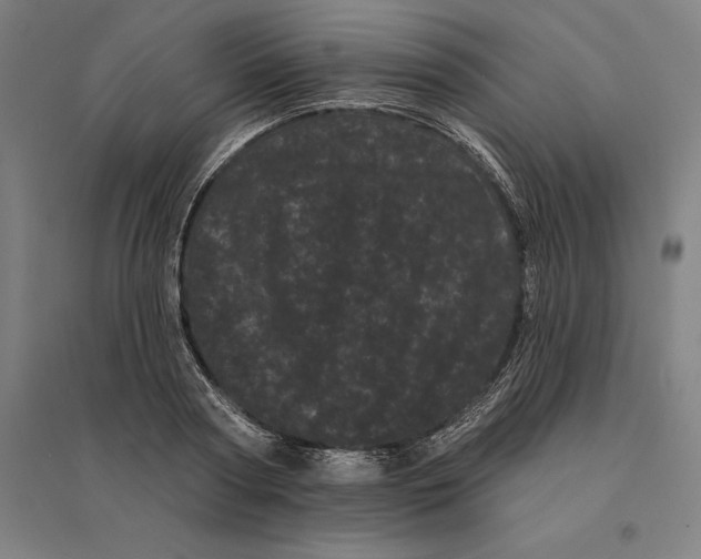 X0000095130794200712301823