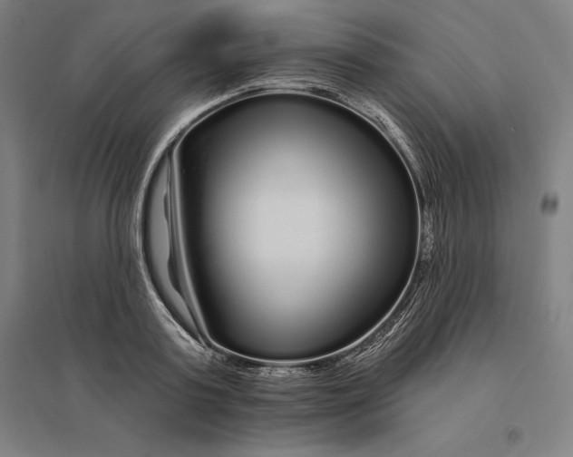 X0000095130795200712301823