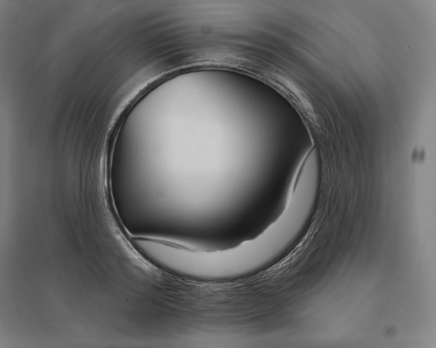 X0000095130796200712301823