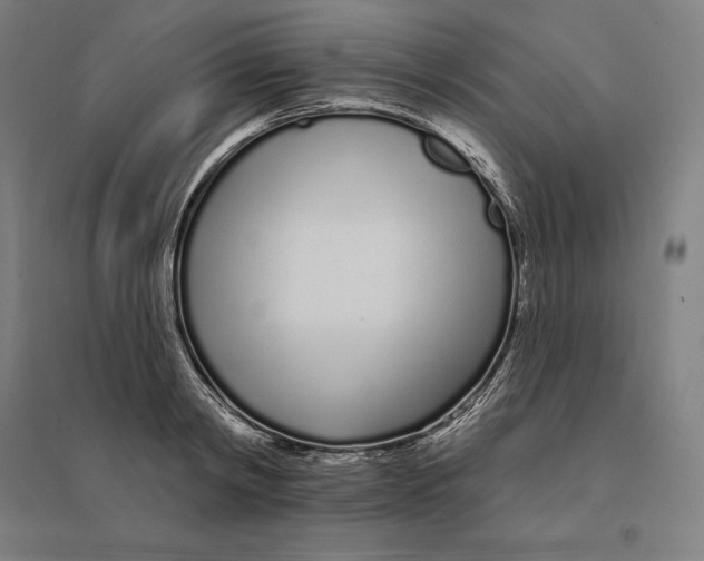 X0000095130798200712301823