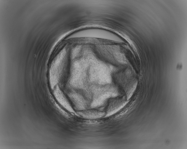 X0000095130799200712301823