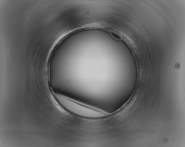 X0000095130800200712301823