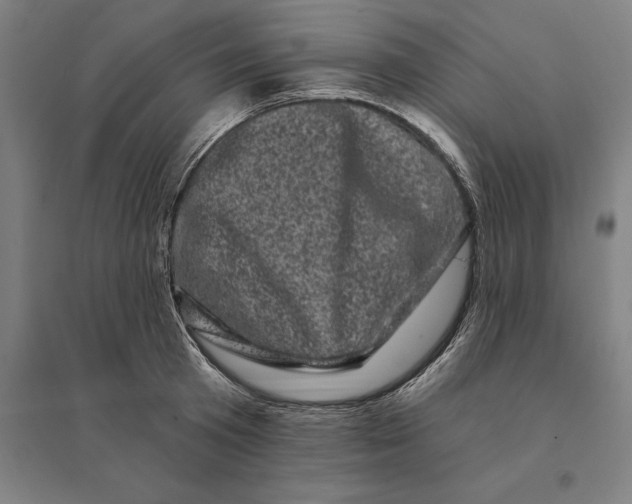 X0000095130801200712301823