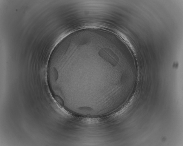 X0000095130802200712301823