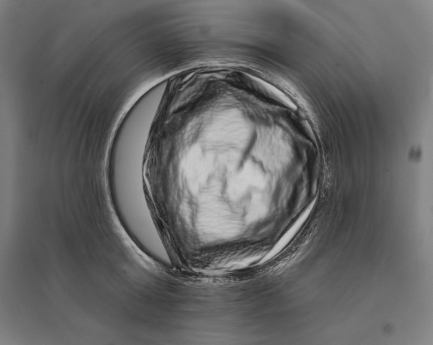 X0000095130803200712301823