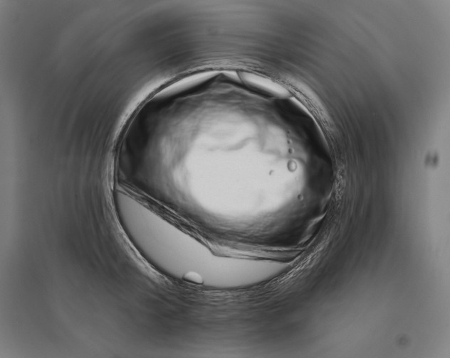 X0000095130804200712301823