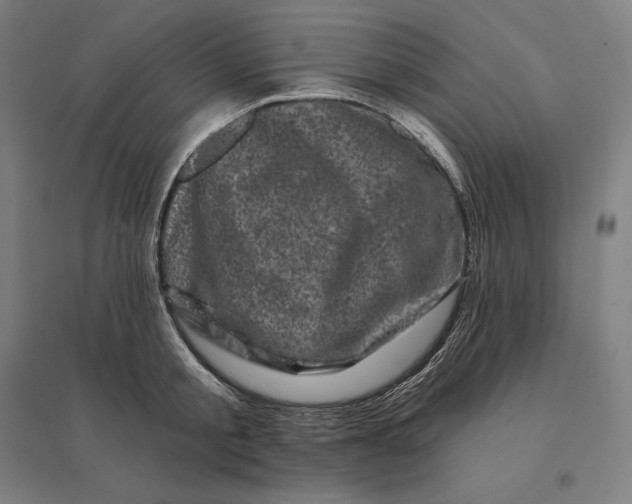 X0000095130805200712301823