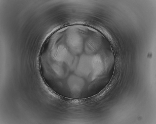 X0000095130806200712301823