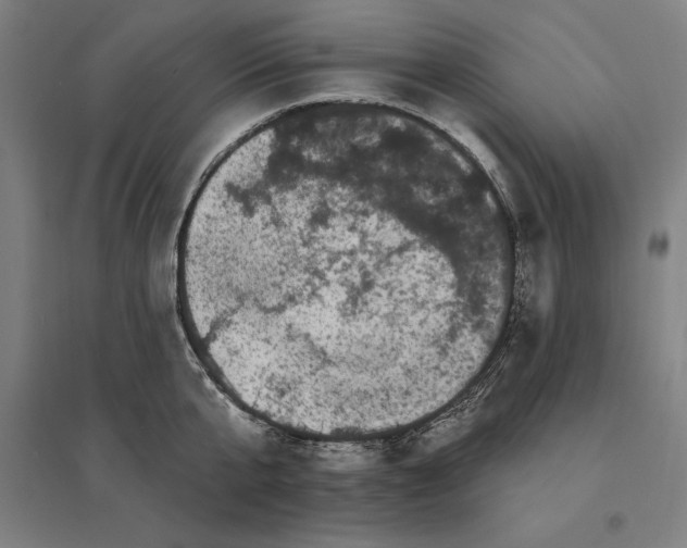 X0000095130807200712301823