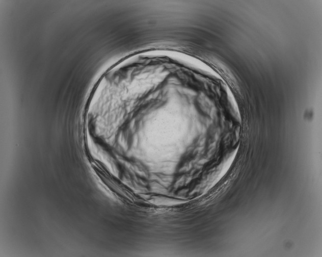 X0000095130808200712301823