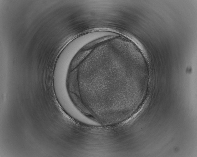 X0000095130809200712301823