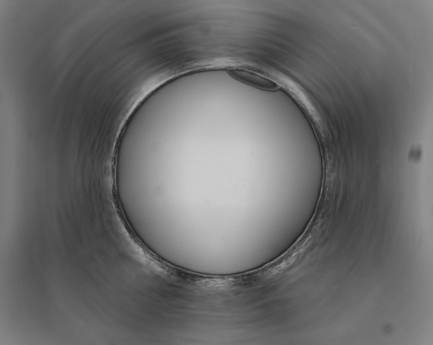 X0000095130810200712301823