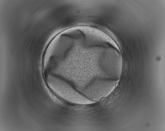 X0000095130811200712301823