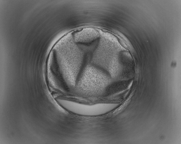 X0000095130812200712301823