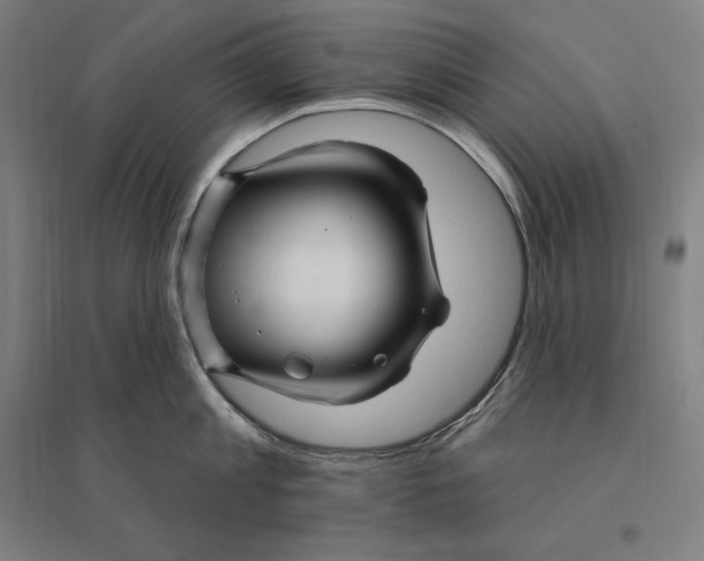 X0000095130813200712301823