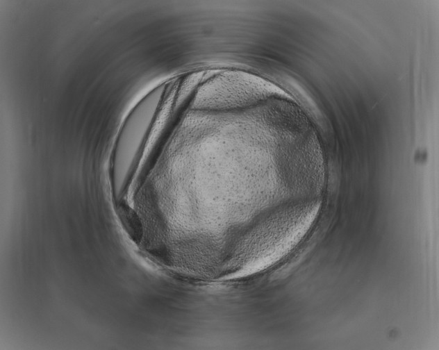 X0000095130814200712301823