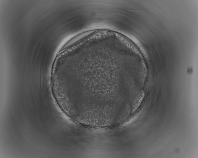 X0000095130815200712301823