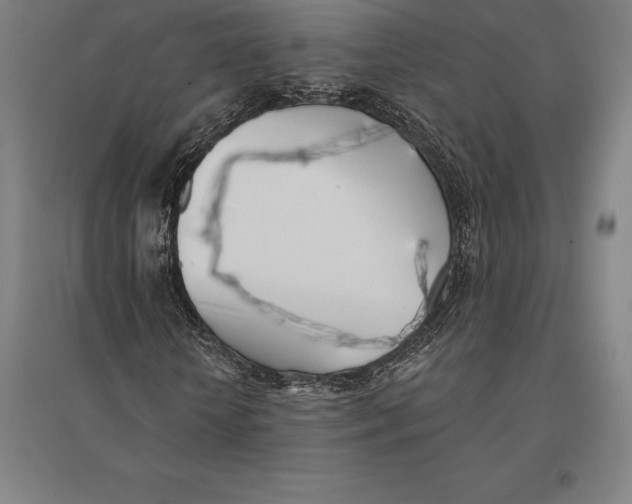 X0000095130818200712301822