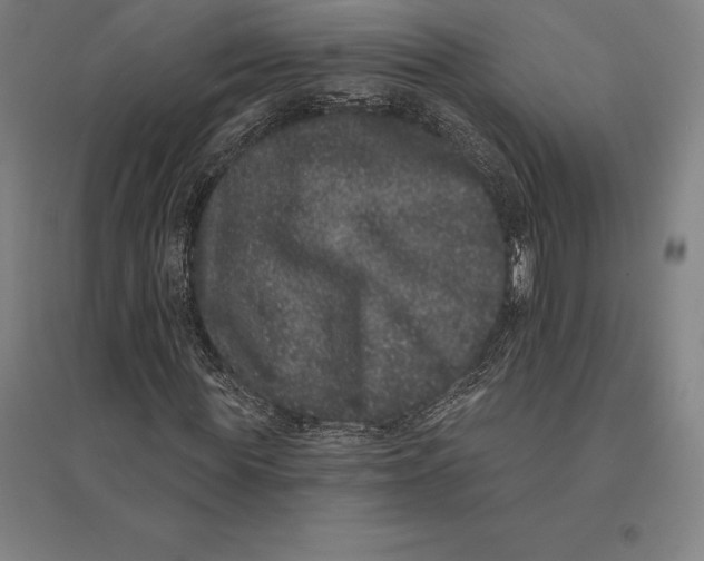 X0000095130819200712301822