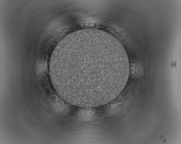 X0000095130820200712301822