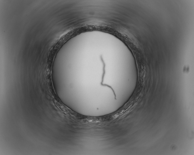 X0000095130822200712301822