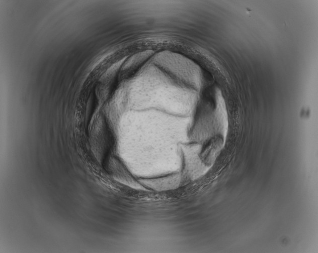 X0000095130823200712301822