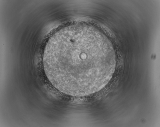 X0000095130824200712301822