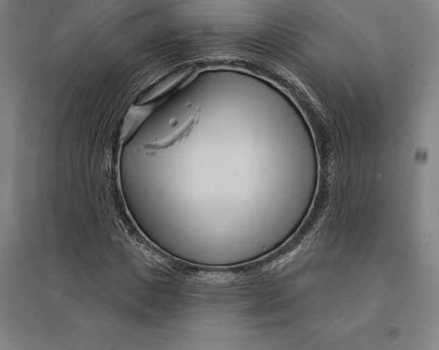 X0000095130825200712301822