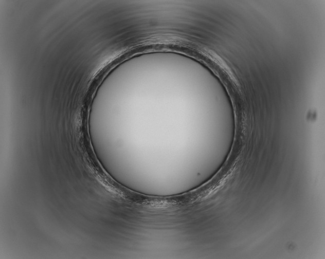 X0000095130826200712301822