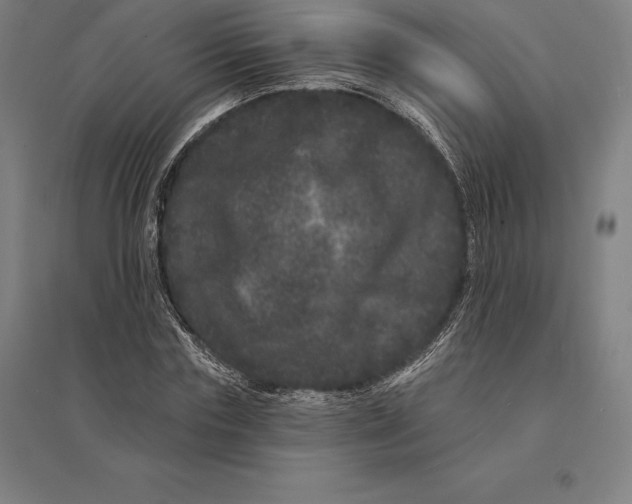 X0000095130827200712301822