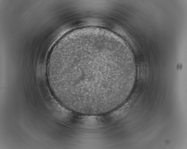 X0000095130828200712301822