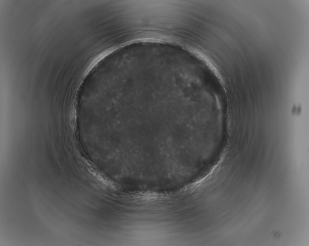 X0000095130829200712301822