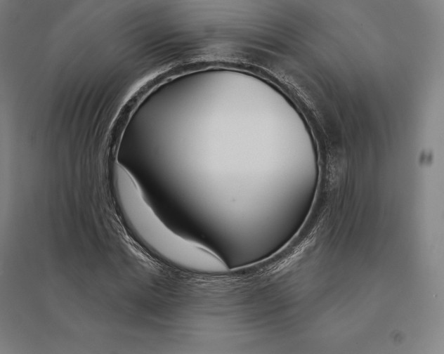 X0000095130830200712301822