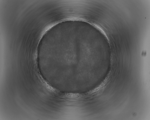 X0000095130831200712301822