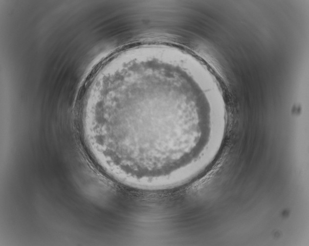 X0000095130832200712301822