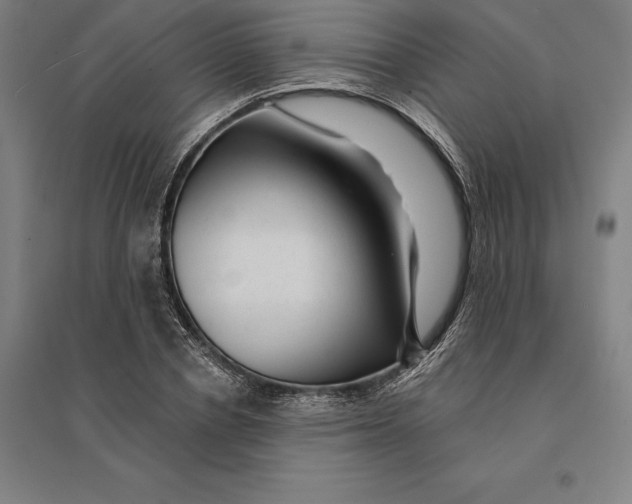 X0000095130834200712301822